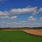 grant county crops