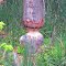 Beavers' Work