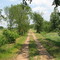 Farm in Longwood Wisconsin near Owen, Withee and Greenwood in Clark County