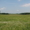 Farm in Longwood Wisconsin near Owen, Withee and Greenwood in Clark County
