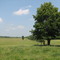 Farm in Longwood Wisconsin near Owen, Withee and Greenwood in Clark County