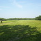 Farm in Longwood Wisconsin near Owen, Withee and Greenwood in Clark County