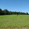 Farm in Longwood Wisconsin near Owen, Withee and Greenwood in Clark County