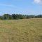 Farm in Longwood Wisconsin near Owen, Withee and Greenwood in Clark County