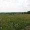 Farm in Longwood Wisconsin near Owen, Withee and Greenwood in Clark County