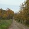 Farm in Longwood Wisconsin near Owen, Withee and Greenwood in Clark County