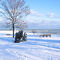 Eichelmann Park 1