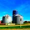 Harvestore® Silo and Grain Bins