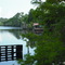 Bayou Lacombe from Tammany Trace
