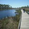 Big Branch Wildlife Area