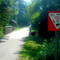 Rest Stop on Tammany Trace