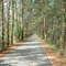 The Trace Bike Trail