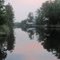 Evening on Bayou Lacombe, LA