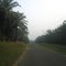 Perkebunan Kelapa Sawit