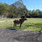 Baton Rouge Zoo