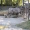 Zoo