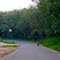 Provincial Road - PASIRPENGARAIAN-Simpang Kumu (Kec. Rambah, Kab. Rokan Hulu)