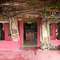 Banyan Tree Temple Near Tanjung Pinang