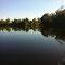 Calm Afternoon in the Marsh