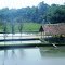 Kilau empang di lembah hijau