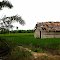 RUMAH CIRUS SAMOSIR