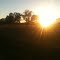 morning at the farm'
