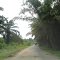 ? street, Tebing Tinggi