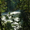 Way Telanai River Basin
