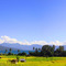 Panorama Danau Ranau dan Gunung Seminung
