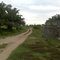 perkebunan sawit di mukomuko