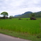 Tapaktuan