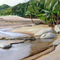 Air Dingin beach