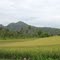 Samadua Village