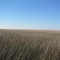 Contrasting Plains