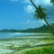 beach at Lasikin bay