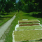 road from Lasikin to Kampung Air