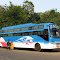 Public Transport (Bus) 04