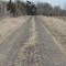 Road