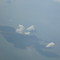 Pangkor Island
