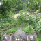 ChineseCemetry