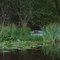 OLD BLUE BOAT ON LAKE
