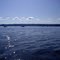 Hoodcanal-Rec Shrimp Season-May 09