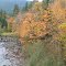 Quilcene