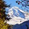 Mount Baker, view from WA-542