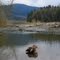 On Mount Baker Highway