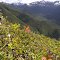 Racehorse Creek valley