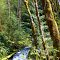 Hidden Waterfalls