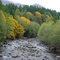 Fall colors on the Kalama
