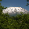 Mt. St. Helens