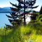 Yale Lake Washington